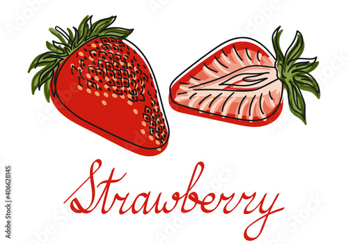 Strawberry. Hand drawn whole and half strawberries. Vector illustration.