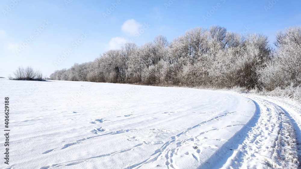 Snowy road at the edge of the forest