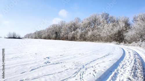 Snowy road at the edge of the forest © геннадий черкашин