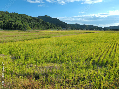 岐阜県･揖斐市