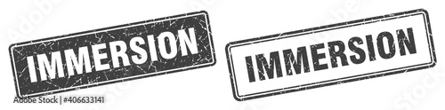 immersion stamp set. immersion square grunge sign