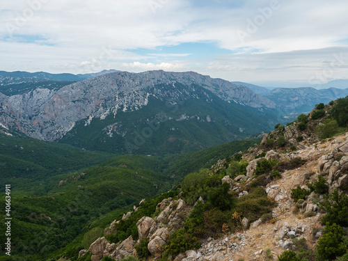 Aerial View of green forest landscape of Supramonte Mountains with limestone rock and mediterranean vegetation, Region Nuoro, Sardinia, Italy. Summer cloudy day