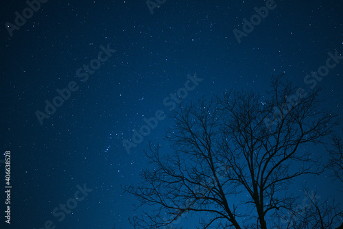 冬の星座たち © jyuria