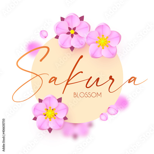 Sakura blossom circle banner. Cute pink cherry flowers. Japanese traditional design. O-Hanami-blossom festival. Spring is coming.
