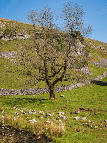 Yorkshire Dales landscape in the Lower Wharfedale near Skyreholme, North Yorkshire, England, UK photo