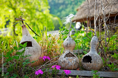 Old gourds in a garden with flowers and plants in the traditional village of Saiko Iyashi no Sato Nemba in Japan. photo