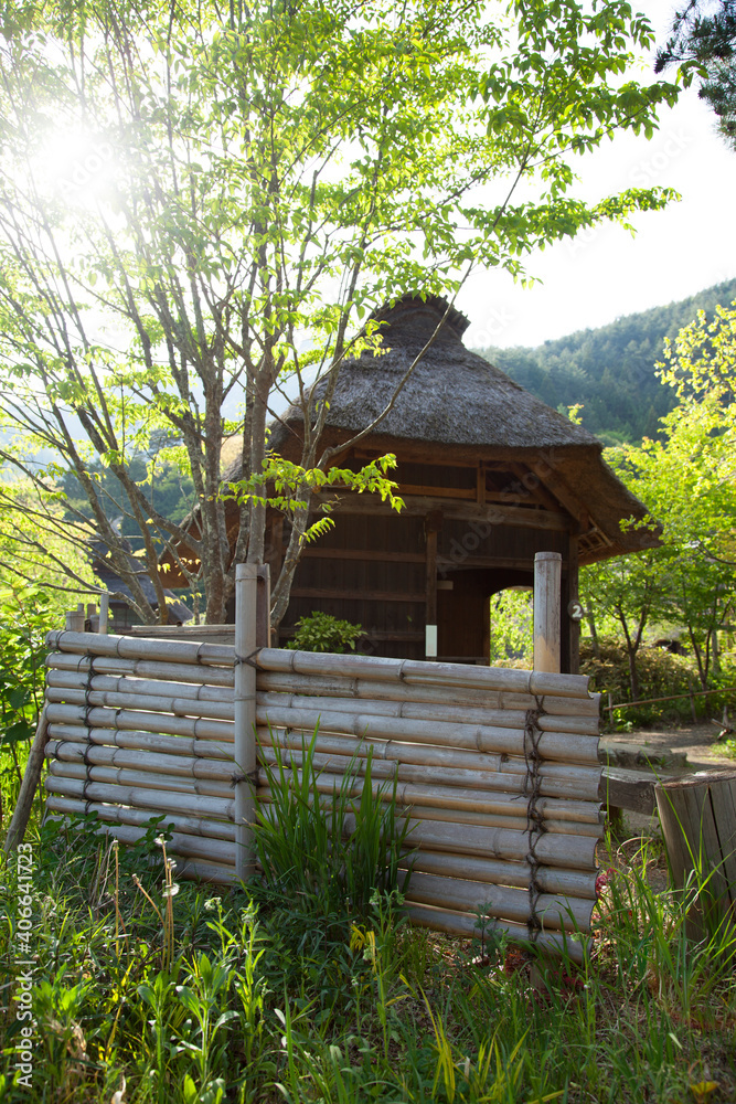 Thatched roof buildings in the Japanese traditional village of Saiko ...