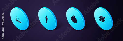 Set Isometric Hot chili pepper pod, Tomato, and Cigar icon. Vector.
