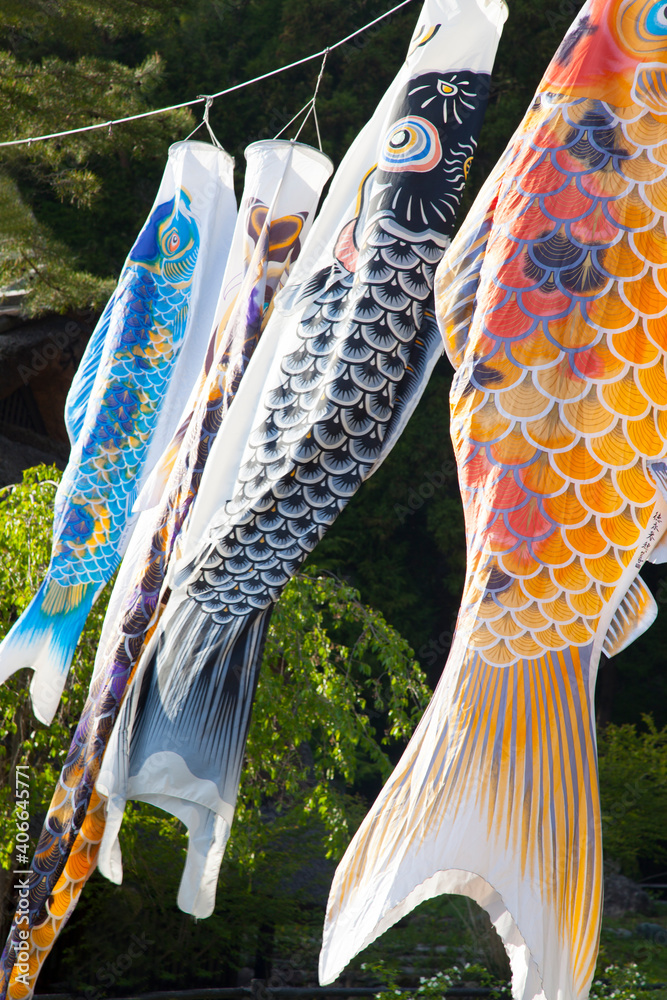 Colorful Koinobori Japanese carp kites in the traditional village of Saiko Iyashi no Sato Nemba