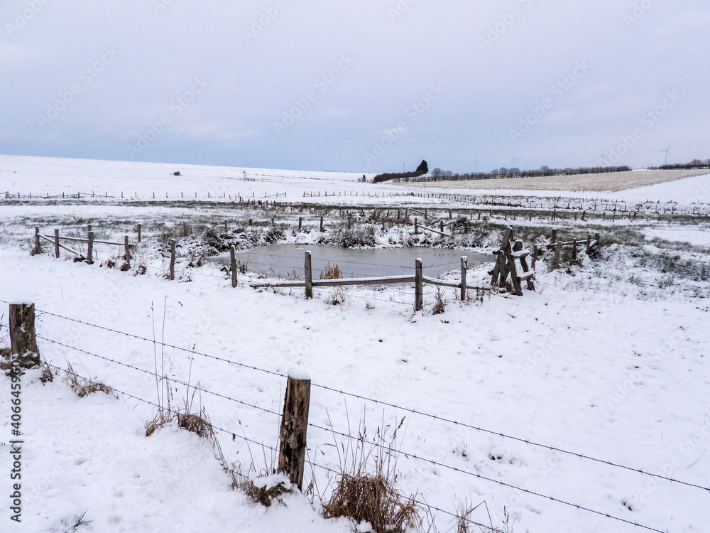 winterlandscape with snow and frozen pond winterlandscape with snow and frozen pond
