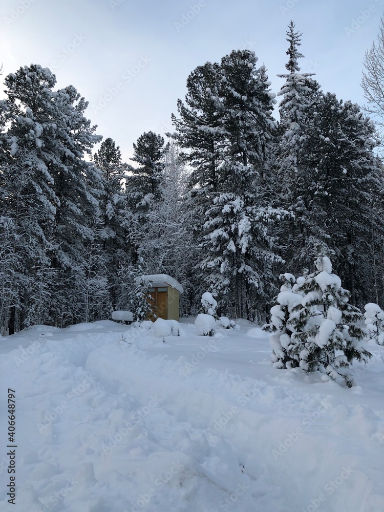 rural toilet