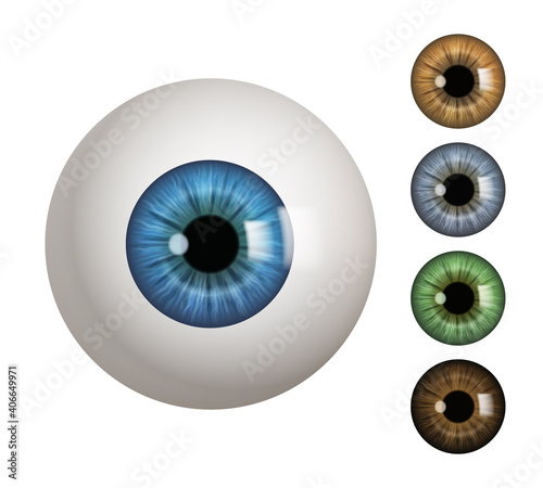 Human eyeball. People anatomical items macro view vision 3d medical decent vector symbols. Eyeball and eyesight, detail colored human eyes illustration