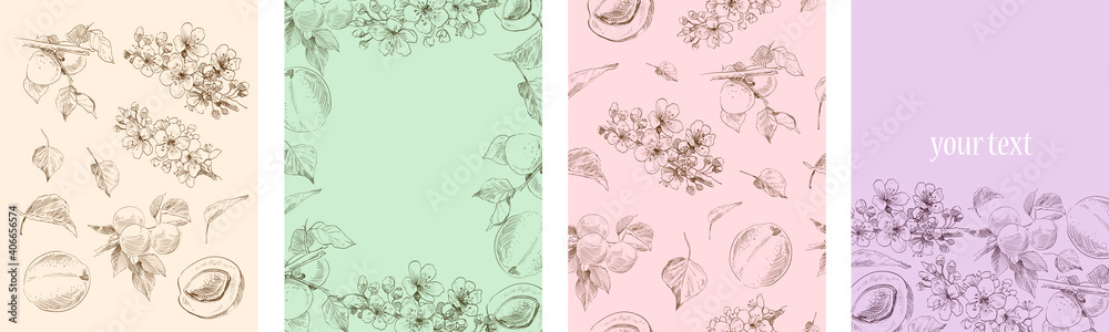 Set of hand drawn elements apricot plant. Template for cards, placard, cover, wallpaper, wrapping paper. Vector art illustration