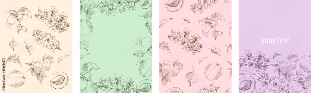 Set of hand drawn elements apricot plant. Template for cards, placard, cover, wallpaper, wrapping paper. Vector art illustration Set of hand drawn elements apricot plant. Template for cards, placard, cover, wallpaper, wrapping paper. Vector art illustration