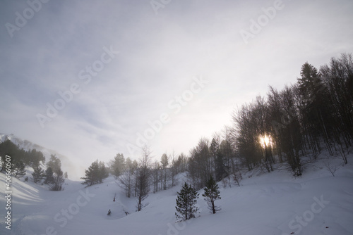Snowy forest in the Pyrenees © WINDCOLORS