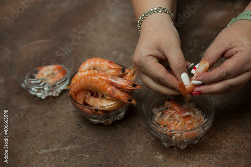 Housewife woman hands cleaning boiled king prawns.