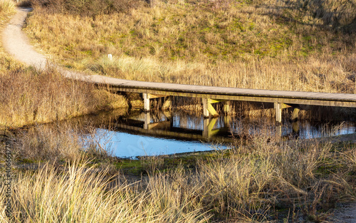 Pedestrian wooden bridge over a shallow pond