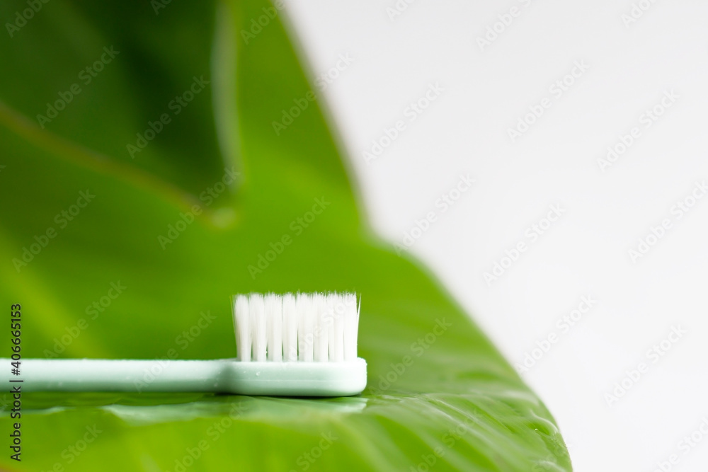 Toothbrush on green leaf with drops of water . copy spase . Toothbrush on green leaf with drops of water . copy spase .