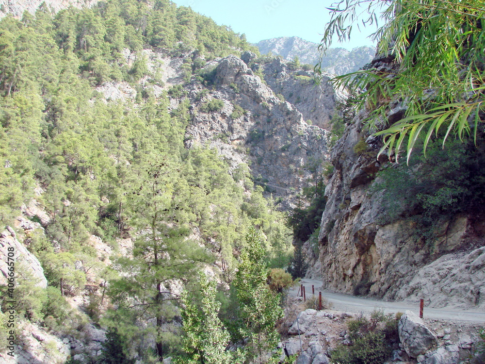 View from the top of the cliff to the gorge of the canyon that separates the rocky slopes by a thin snake of a mountain river.
