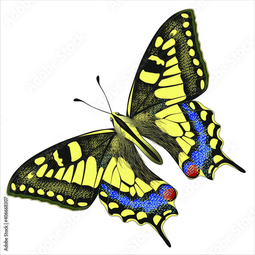 Yellow Butterfly with Swallowtail, inclined. Hand drawing for surface design, sticker, social media, nature or school books Vektor isolated on white background. Insect Papilio Machaon