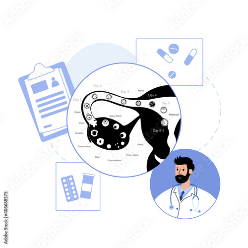 Embryo development concept