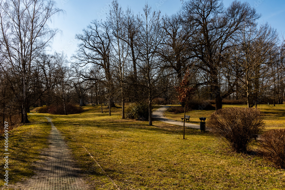 Fototapeta premium Narrow paths in colorful small park with trees and bushes without leafs at winter