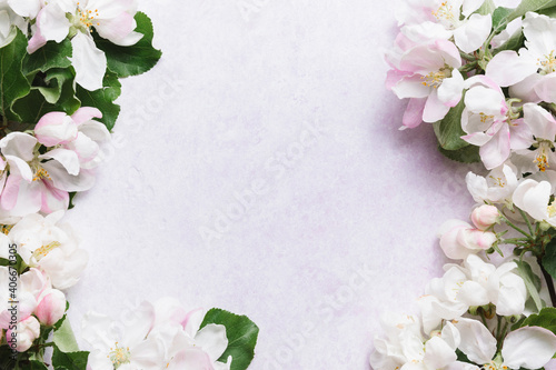 Frame with white apple blossom flowers over light lilac background. Flat lay, top view, copy space.