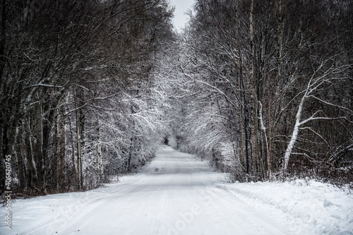 road to a beautiful winter forest © Santi