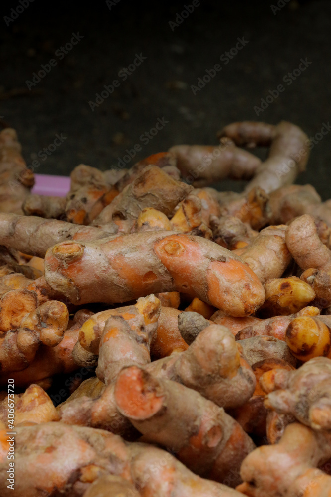Turmeric herb for medicine in thailand