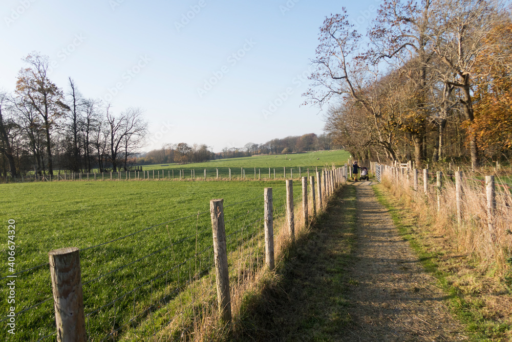 A beautiful crisp summers evening in the Uk countryside, a worn down and walked on rustic pathway leading into a forest and woodland. Fresh air for mental and physical well being. rustic farmland.