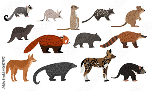 African animals set. Cartoon sugar glider  bilby quoll quokka otter red panda binturong coati dingo zoo creatures  wildlife characters collection isolated