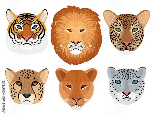 Fototapeta Naklejka Na Ścianę i Meble -  Wild cat head set. Hunting trophy, lion and tiger, leopard and snow leopard, cheetah front face of wildcats, vector illustration of aggressive beasts heads isolated on white background