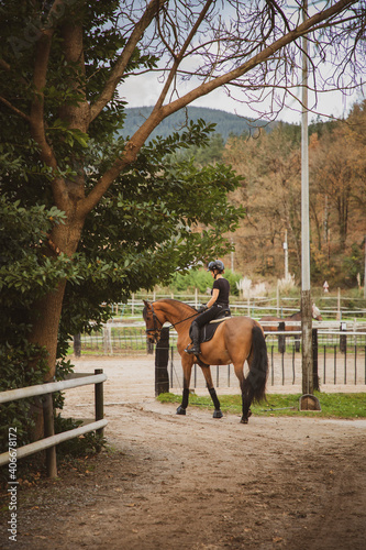 woman riding her brown horse with black mane dressed in black with a helmet © Alvaro Postigo 