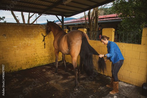 Woman combing her brown horse in the stable © Alvaro Postigo 