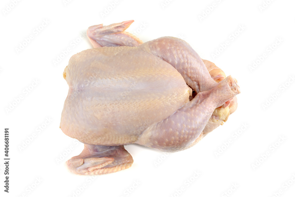 Fresh raw chicken or broiler chicken. Isolated on a white background. Clipping path. Fresh raw chicken or broiler chicken. Isolated on a white background. Clipping path.