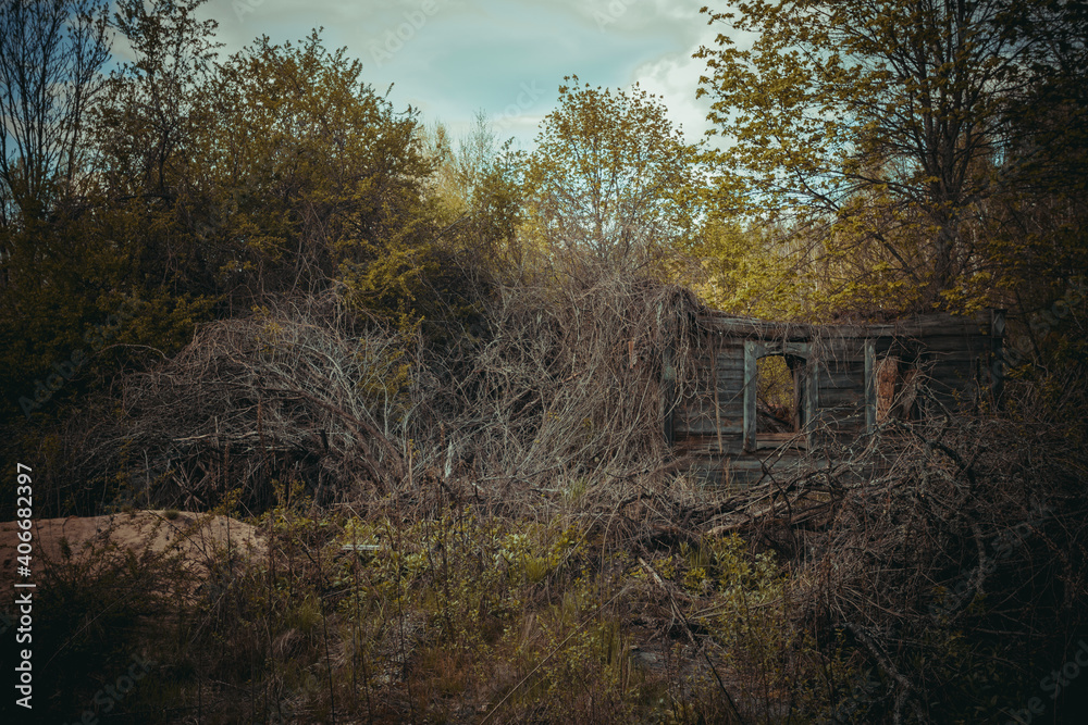 abandoned wooden houses Chernobyl zone abandoned wooden houses Chernobyl zone