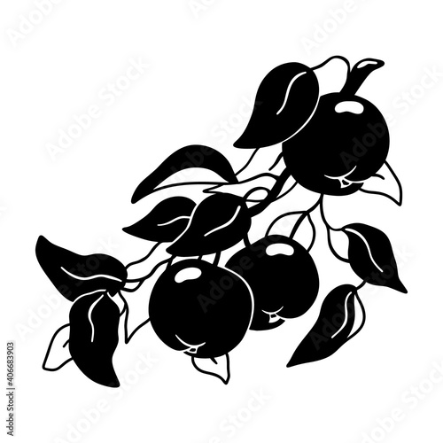 Branch with leaves and garden apples. Graphic hand drawn silhouette. Black illustration for farm product packaging. Botanic print, tattoo, poster, element. Flat isolated vector, white background