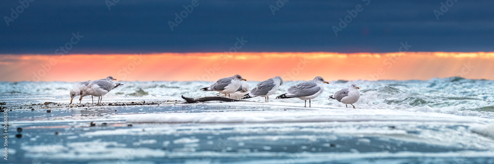 Fototapeta premium sonnenuntergang am meer