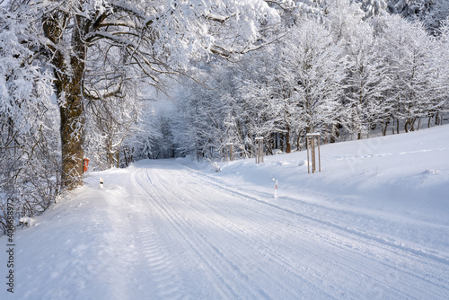A snowy winter country road with surface flattened by tracks of cars. Trees stand around and a forest begins nearby. Shot in Orlicke hory mountains, Czech republic.