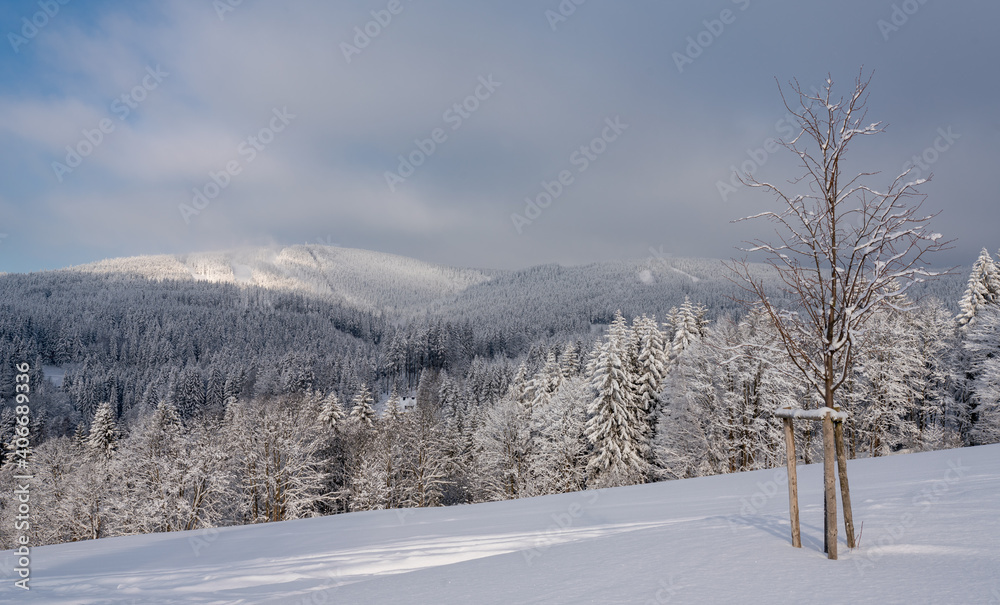 Winter landscape of  