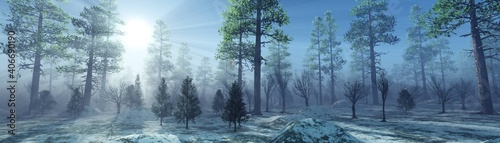 Winter forest in the rays of the sun  pine trees in the haze in winter  panorama of the winter forest  3D rendering