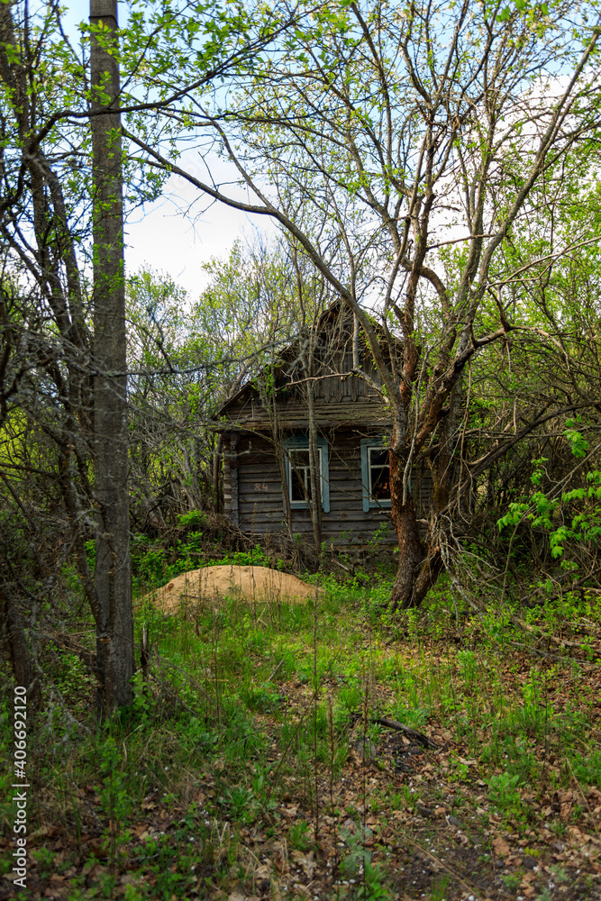 abandoned wooden houses Chernobyl zone abandoned wooden houses Chernobyl zone