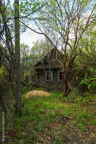 abandoned wooden houses Chernobyl zone