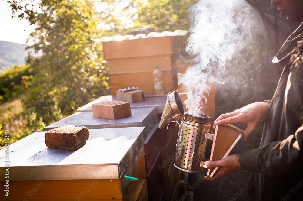 Naklejka premium Imker am Bienenstock mit Rauch und Qualm.