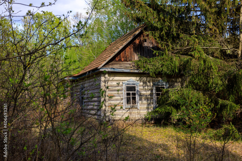 abandoned wooden houses Chernobyl zone