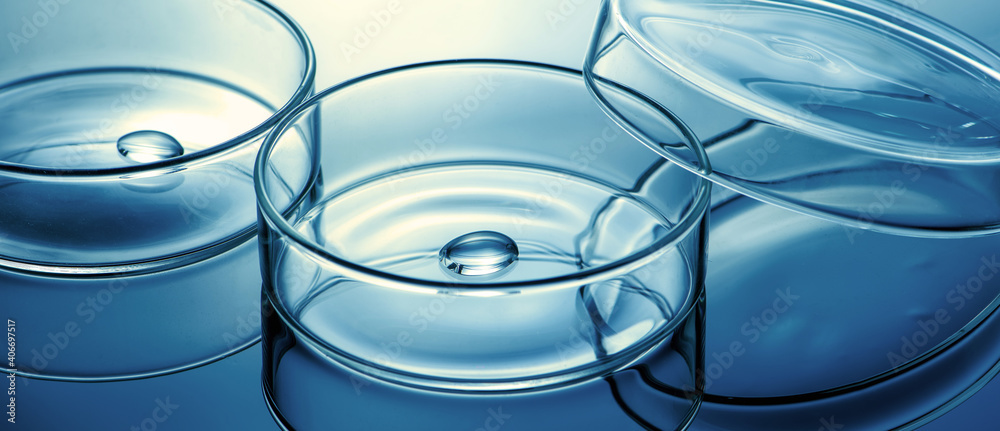 Clean glass petri dish with liquid drop inside over blue light background Clean glass petri dish with liquid drop inside over blue light background