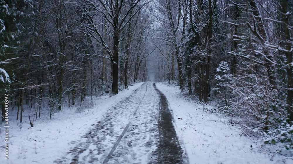 Flying over snowy Footpath in Winter Forest 1 Flying over snowy Footpath in Winter Forest 1