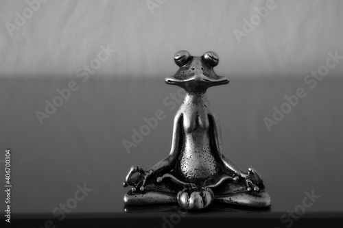 a frog sitting in a lotus position and meditating , monochrome