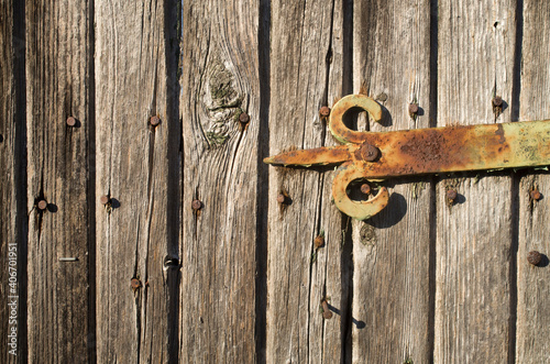 Old decorative hinge on a wooden door © isabela66