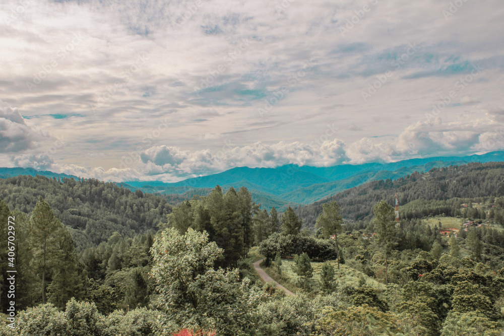 Fototapeta premium The great nature with trees and cloud with high view background